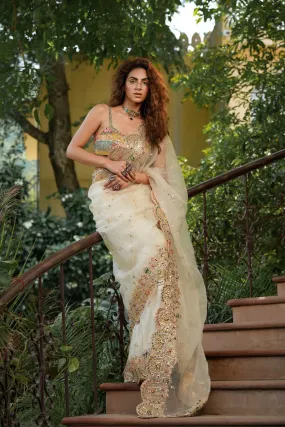 Bageecha shwet aur rangeen saree
