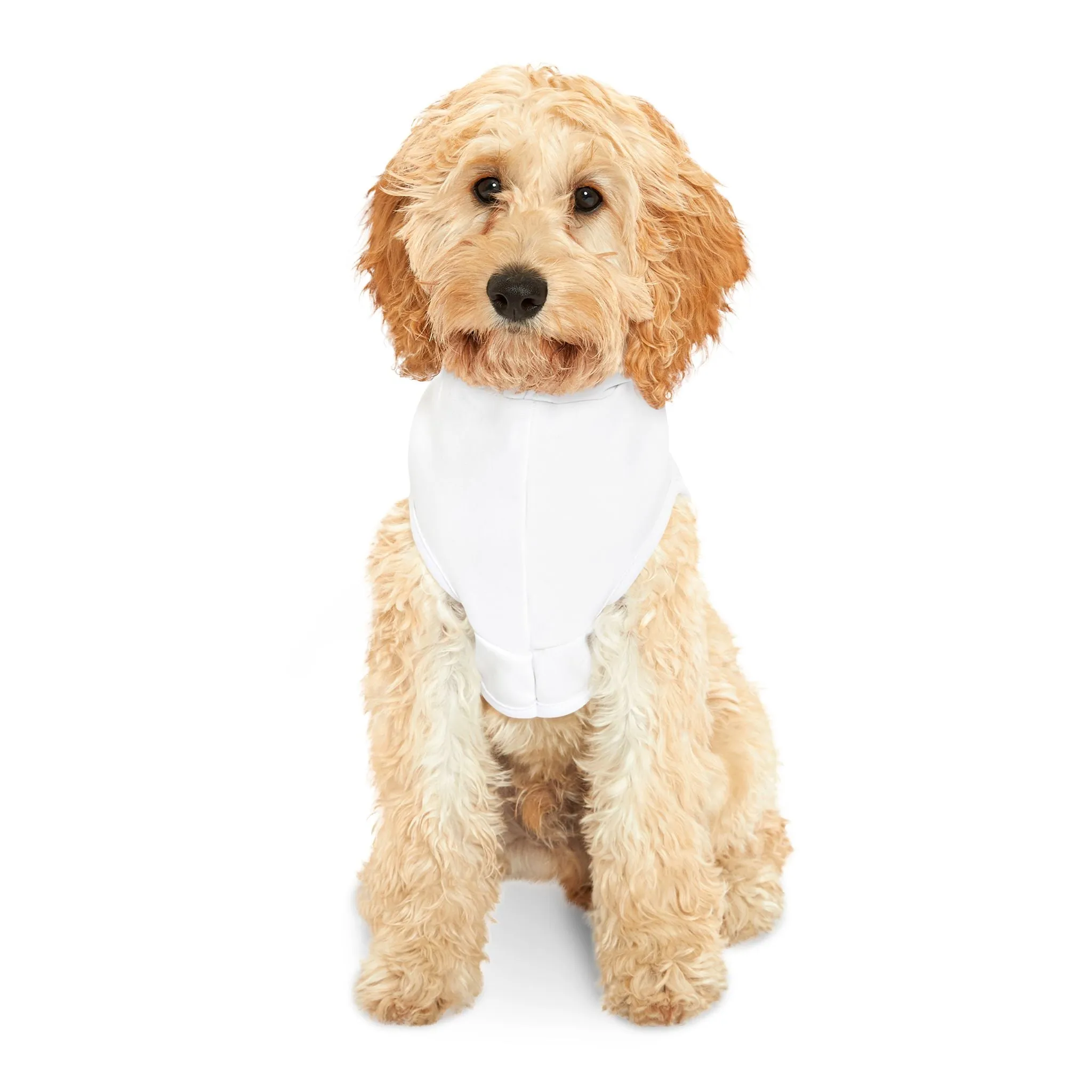 Favorite Dog On Earth (FDOE) Custom Pet Hoodie - Adorable and Stylish Hoodie for Your Furry Friend